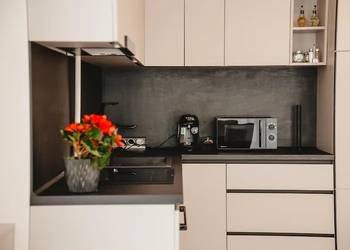 Apartman White House Iris Napoca - 4